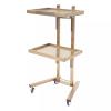 Mixizap Rolling Tool Cart, Stainless Steel Tool Tray Rack, Foldable Tray Trolley with Double Layer Storage Tray for Beauty Salon Tattoo Spa Clinic Medical Studio (Gold) view 1
