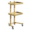 Mixizap Rolling Tool Cart, Stainless Steel Tool Tray Rack, Foldable Tray Trolley with Double Layer Storage Tray for Beauty Salon Tattoo Spa Clinic Medical Studio (Gold) view 2