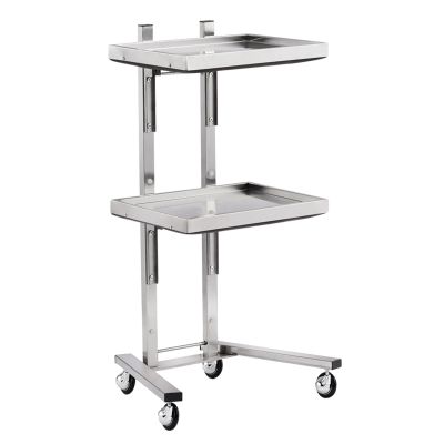 2 Tier Beauty Salon SPA Rolling Cart Salon Tray on Wheels Rolling Tool Trolley Cart with Double Storage Tray Salon Stand Rolling Tray Mobile Beauty Trolley Cart Foldable Tray Trolley (Silvery)