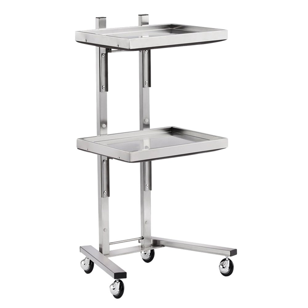 2 Tier Beauty Salon SPA Rolling Cart Salon Tray on Wheels Rolling Tool Trolley Cart with Double Storage Tray Salon Stand Rolling Tray Mobile Beauty Trolley Cart Foldable Tray Trolley (Silvery)