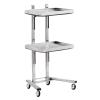 2 Tier Beauty Salon SPA Rolling Cart Salon Tray on Wheels Rolling Tool Trolley Cart with Double Storage Tray Salon Stand Rolling Tray Mobile Beauty Trolley Cart Foldable Tray Trolley (Silvery) view 1