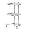 2 Tier Beauty Salon SPA Rolling Cart Salon Tray on Wheels Rolling Tool Trolley Cart with Double Storage Tray Salon Stand Rolling Tray Mobile Beauty Trolley Cart Foldable Tray Trolley (Silvery) view 2