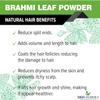 100% Organic Brahmi Powder | Bacopa monnieri for Hair Cleanser & Hair Care - (200g) view 3