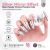 Saviland Silver Chrome Nail Powder Set: 2PCS Reusable Chrome Nail Powder Applicator Nail Brush with 1g Metallic Mirror Effect Chrome Powder for Gel Nails view 2