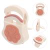BELLIFFY Portable Cat Claw Eyelash Curler Lightweight Mini Makeup Tool for Women Ergonomic Design for Natural Curling for Travel and Easy Storage view 4