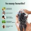 BOOST Biotin Hair Serum plus Rosemary Biotin Shampoo and Conditioner Set - Hair Thickening Serum with Castor and Rosemary plus Volumizing Shampoo for Men and Women Bundle view 4