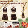 Dr. Sebi Batana Oil for Hair Growth, 100% Natural & Organic, Prevents Hair Loss & Restores Scalp (1Pcs) view 3