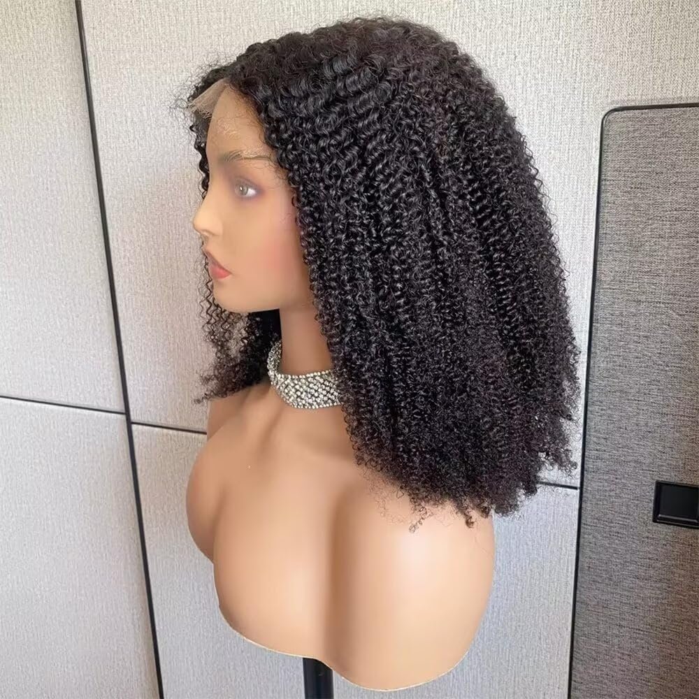 Afro Kinky Curly Wig Invisible Lace Front Human Hair Wig Natural Color Curly Bob 180% Density Human Hair 13x4 HD Transparent Lace Front Wig Pre Plucked with Baby Hair Natural Hairline 12inch
