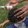 Chiron Botanicals Rosemary & Lavender Hair and Scalp Oil  Natural Scalp Moisturizer with Argan & Jojoba, Nourishing Oil for Dry Scalp and Hair Growth view 3