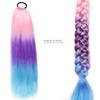 2PCS Long Ponytail 65cm Hair Extensions Rainbow Braid with Rubber Band Spicy Girl Wig Synthetic for Children (3-6purple-pink-blue) view 4