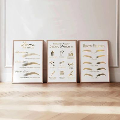 3 Pieces Framed Wall Art Brow Permanent Makeup Brow Shapes Poster PMU Brow Aftercare Prints Canvas Painting PMU Brow Styles Artwork for Brow Salon Decoration with Inner Frame