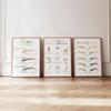 3 Pieces Framed Wall Art Brow Permanent Makeup Brow Shapes Poster PMU Brow Aftercare Prints Canvas Painting PMU Brow Styles Artwork for Brow Salon Decoration with Inner Frame view 1