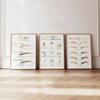 3 Pieces Framed Wall Art Brow Permanent Makeup Brow Shapes Poster PMU Brow Aftercare Prints Canvas Painting PMU Brow Styles Artwork for Brow Salon Decoration with Inner Frame view 2