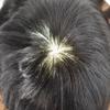 LOVIN HAIR Toupee for Men Full Injected PU Human Hair System Thin Skin Mens Toupee Transparent Poly Male Protheses Hair Mens Hair Piece Wig 7"X10" #1 Jet Black-110% Light to Medium Density view 4