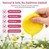 Aiwejay 80PCS Turmeric Face Scrub Pads,Turmeric Kojic Acid Cleansing Pads with Vitamin B5, Vitamin C Turmeric, Sugar Turmeric Cleansing Pads for Face (40 Count (Pack of 2)) view 3