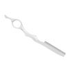 Hair Cutting Razor, Hair Comb Hair Thinning Hair Professional Hair Styling Trimming Knife Hair Texturizing Cutting (Silver) view 1