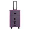 DAJILISHI Lockable Rolling Makeup Train Case - 2-Drawer Portable Cosmetic Organizer Trolley for Beauty Salons(Purple view 1