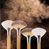 4Pcs Fluffy Facial Brushes Esthetician Fan Brushes Esthetician Short Handle Fan Brush Soft Bristle Highlighter Brush Face Makeup Tools for Powder Blush Body Powder Brush view 4