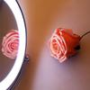 MFQJJRRMI Vanity Mirror,Bathroom Makeup Mirror Wall Mounted Shaving 8 Inch with 7X Magnification Led Bedroom(Rose Gold,10X) view 2