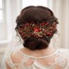 Asphinien Handmade Vintage Crystal Wedding Hair Combs Bride Bridesmaid Ruby Sapphire Emerald Crystal Headband with Comb for Wedding Bridal Side Combs for Women (Red) view 1