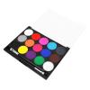 15 Colors Paint Makeup Set Face Body Water Soluble Painting Tool for Birthday Halloween New Year Entertainment,Halloween Party Paint Makeup view 4