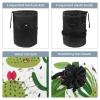 2PCS Artistic Cactus-162 Travel Cosmetic Bag Makeup Organizer: Stylish Bathroom Cases with Drawstring, Cylindrical & Small Toiletry Bag view 3