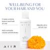 AIIR Dry Texture Mousse & Dry Shampoo Bundle view 2