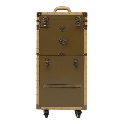 Blisiour Rolling Makeup Train Case Lockable Portable Cosmetic Beauty Salon Organizer Trolley Travel Hair Stylist Case with Hair Dryer Holder & Handle (Gold)