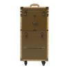 Blisiour Rolling Makeup Train Case Lockable Portable Cosmetic Beauty Salon Organizer Trolley Travel Hair Stylist Case with Hair Dryer Holder & Handle (Gold) view 1