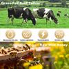 Beef Tallow and Honey Balm, Grass Fed Grass Finished Face Cream for Skin Care, Tallow Face Moisturizer Body Lotion for Skin Hydration, Whipped Tallow Balm, Beef Tallow for Skin Care, 2oz, Unscented view 2
