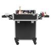 Giciashop Rolling Makeup Train Case,Professional Rolling Makeup Train Case, Pink and Black Cosmetic Trolley Organizer Case with 4 Sliding Trays 1 Bottom Layer, for Make-up Artists Hairdressers view 3