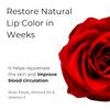 Rose Lip Scrub for Dark Lips Remover, Lip Bright, Smoky Lips Removal, Lip Exfoliator for Dark Lips, Women/Men view 4