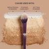 Anisa Beauty Tapered Highlight Makeup Brush  Precision Tapered Brush for Seamless Application of Highlighter and Illuminating Powders  Soft, Synthetic Fibers view 4