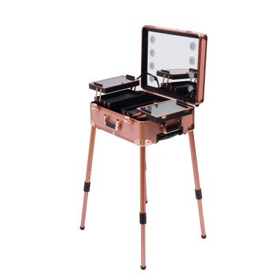 Aluminum Rolling Makeup Train Case with 8 LED Light Mirror Portable Lighted Makeup Vanity Station with Wheels and Stands, Lockable Professional Cosmetic Trolley for Travel (Rose Gold)