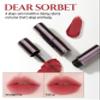 H HEVVY HEVVYMAKEUP Blurring Effect Lip Tint - Airy Velvet Matte Lips - Vegan, Longwear, Vibrant, Buildable Creamy Soft Texture - Korean Lip Makeup, Dear Sorbet, 0.13 fl.oz. view 3