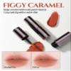 H HEVVY HEVVYMAKEUP Blurring Effect Lip Tint - Airy Velvet Matte Lips - Vegan, Longwear, Vibrant, Buildable Creamy Soft Texture - Korean Lip Makeup, Figgy Caramel, 0.13 fl.oz. view 3