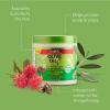 ORS Fortifying Creme Hairdress infused with Castor Oil for Strengthening Olive Oil Hold & Shine Wrap Set Mousse Infused with Coconut Oil for Restorative Shine - Bundle view 3