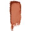 Flyte.70 Color Back Burnished Bronze Facial Powder - Face Makeup Setting Powder Blendable with Moisturizing Squalene Bronzer Foundation Long Lasting Shimmer Contour Makeup Sun Kissed Tan Look 3 Shades view 4