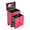 Blisiour Rolling Makeup Train Case with Drawers and Locks, Professional Large Cosmetic Storage Trolley Case with Adjustable Dividers, Nail Polish Organizer for Nail Tech Hairstylist Barber (Rose) view 3