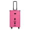Blisiour Professional Rolling Makeup Train Case with Mirror, Multi-functional Cosmetic Travel Case with 2 Sliding Drawer & Wheels, Lockable Portable Salon Barber Case Traveling Cart Trunk (Rose) view 2