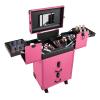 Blisiour Professional Rolling Makeup Train Case with Mirror, Multi-functional Cosmetic Travel Case with 2 Sliding Drawer & Wheels, Lockable Portable Salon Barber Case Traveling Cart Trunk (Rose) view 3