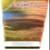 SILUET 40 GEL TERMICO (Thermal Gel) Can Help Dissolving Body Fat 200ml view 3
