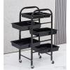 FOGVG Beauty Salon Storage Trolley Cart, Carbon-Steel Hair Salon Station Cabinet with Drawers, Rolling Salon Trolley Storage Cart, Makeup Storage Trolley Cabinet Organizer for Barber Beauty SPA,04 view 2