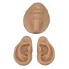 Silicone Ear Model Novice Simulated 3D Nose and Mouth Model Display Prop Teaching Tool for Piercing Practice view 4