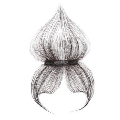 2x12cm Invisible Straight Topper 3D Air Bangs Clip In Hairpiece Human Hair Wiglet for Women's Thin Hair (Mocha)