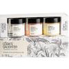 COBA'S DAUGHTER Luxury Spa Gift Set for Women  3-Piece Mini Body Scrub Trio with Honey Turmeric, Almond Orange & Aloe Vera  Travel Size Self-Care Gift for Holiday, Christmas, Birthday, Wedding Favor view 1