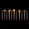11pcs Golden Mango Collection Makeup Brush Set Brushes Makeup Brushes Complete Set view 2