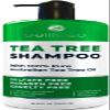 BELLISSO Tea Tree Oil Conditioner and Tea Tree Oil Shampoo and Tea Tree Oil Hair Mask view 3