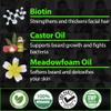 Beard Growth Kit w/ 2X Thickening Biotin Balm & Mustache Wax for Men + 620,000mcg 14-in-1 BIOTIN Gummies Beard Growth Vitamins & Hair Growth Vitamins for Men - Formulated in America view 3