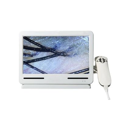 FJYAWEN Skin Diagnostic Hair Analyzer, Scalp Analysis Device, 10 Inch Multifunctional Hair Follicle Skin Analyzer Machine for Scalp Analysis